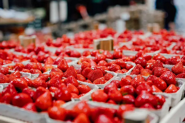 Nahaufnahme von Erdbeeren in grauen Pappschalen